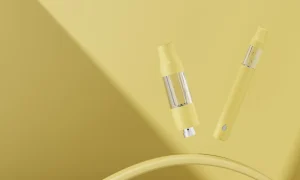 D8 D9 Thc cannabis vape decive (41)