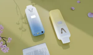 D8 D9 Thc cannabis vape decive (63)